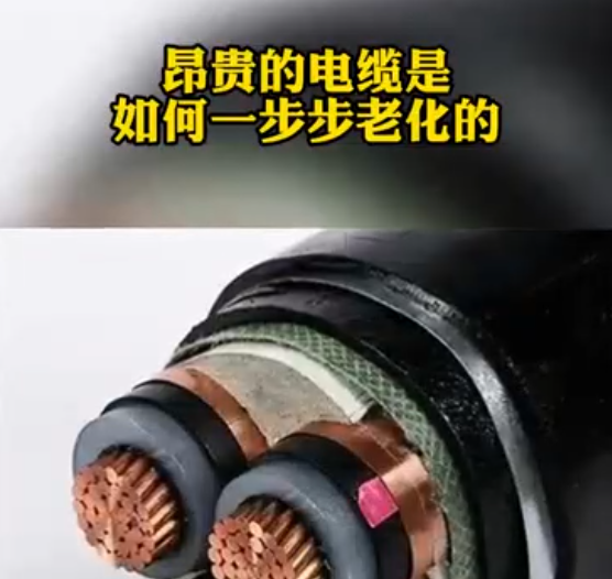 winsun第109集：winsun解决方案系列2，利用行波技术进行电缆在线监测